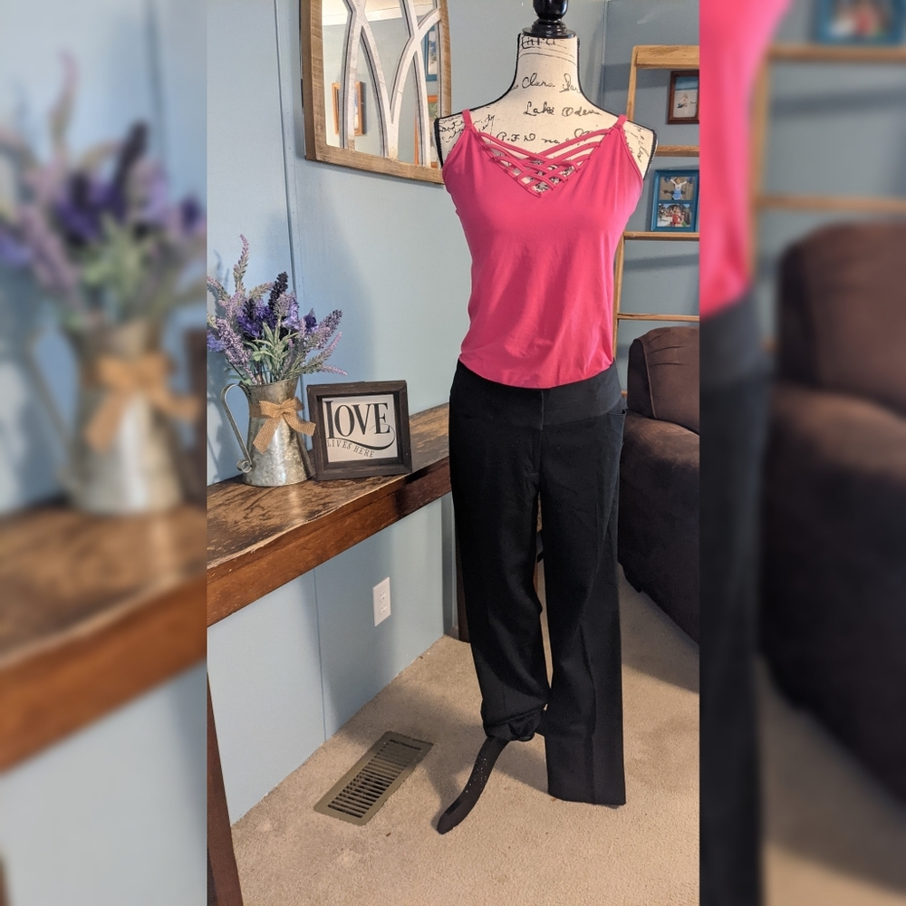 Express Editor Dress Pants